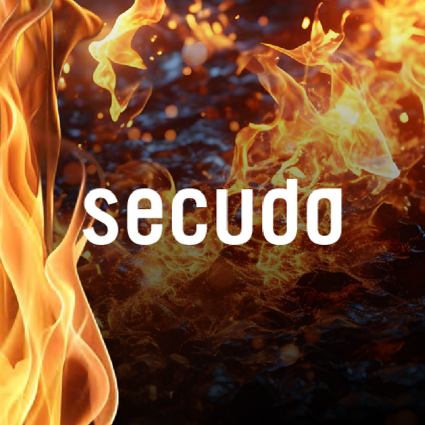 Secudo: Flyer