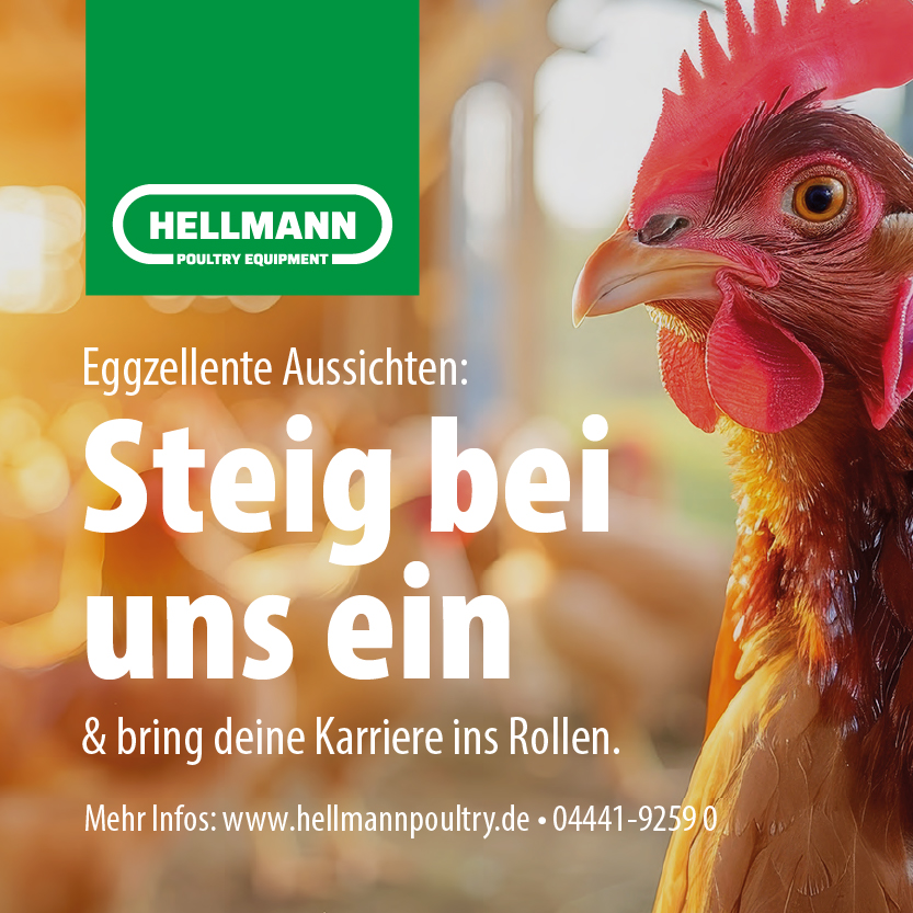 Hellmann: LKW-Beschriftung
